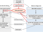 BIOFIRE ME (MENINGOENCEPHALITIS) ADVANTAGE