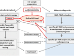 BIOFIRE ME (MENINGOENCEPHALITIS) ADVANTAGE